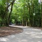road entrance new build woodland cork