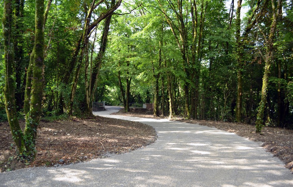 road entrance new build woodland cork